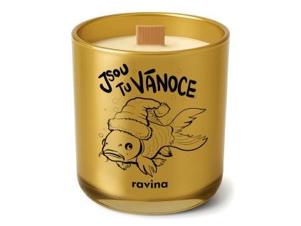 Ravina sojová svíčka - Vánoční -Perníček